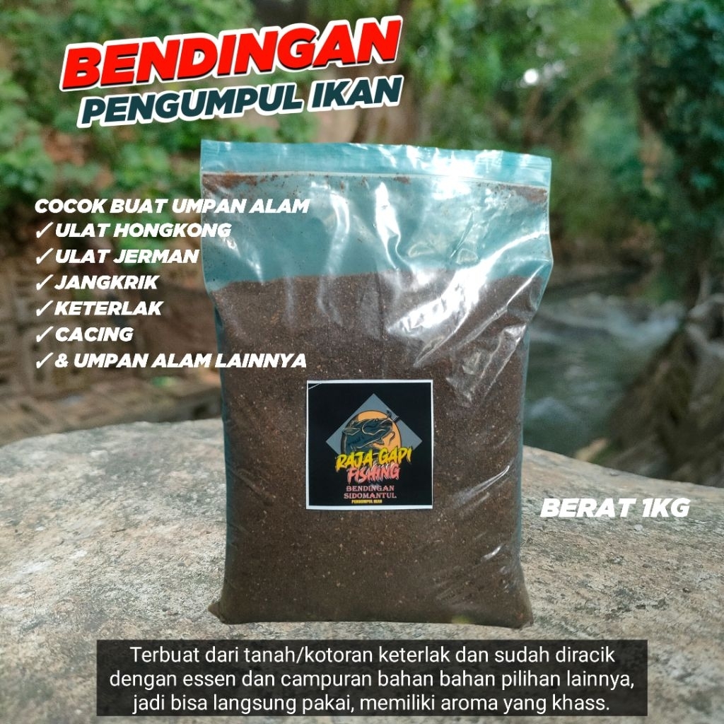 BENDINGAN PENGUMPUL IKAN BISA LANGSUNG PAKAI UNTUK UMPAN PANCING GALATAMA LELE