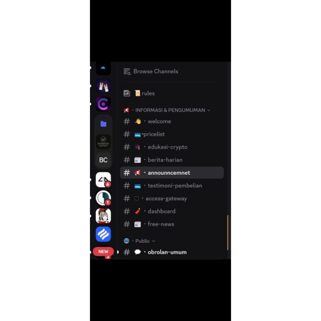 Mirror Discord Terlengkap Crypto + Saham
