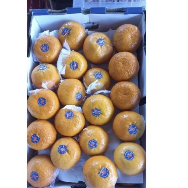 

Jeruk Wogan Orah Manis 1 Dus 9,5 kg per box Fresh Jogja