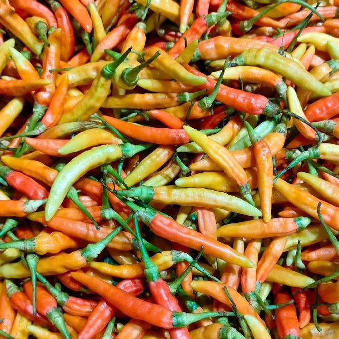 

CABE RAWIT MERAH ASMORO FRESH 1KG