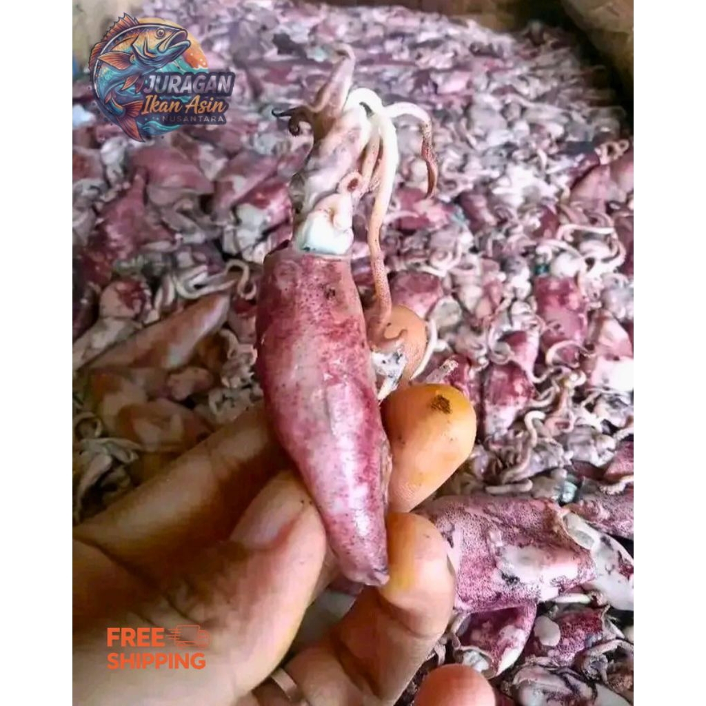 Ikan asin cumi / ikan asin cumi jumbo / ikan asin