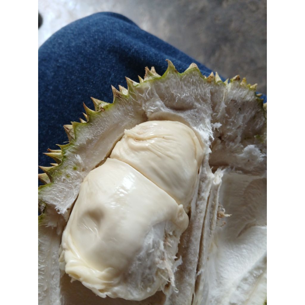 

durian lokal