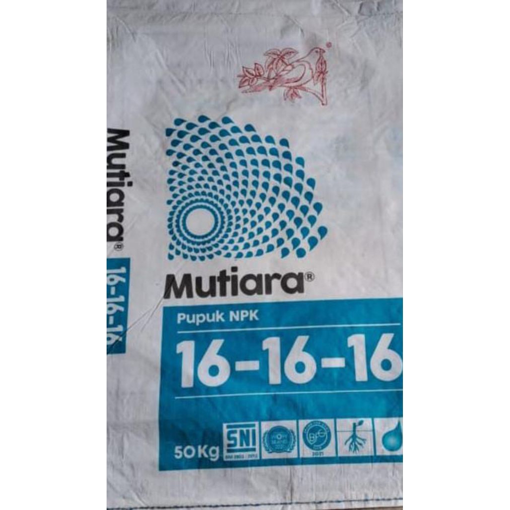 pupuk mutiara 16-16-16