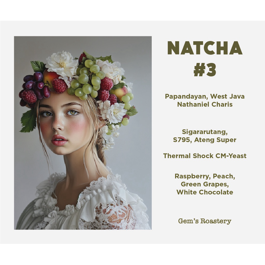 

Papandayan Filter Coffee Arabica Beans Natcha#3 100gr