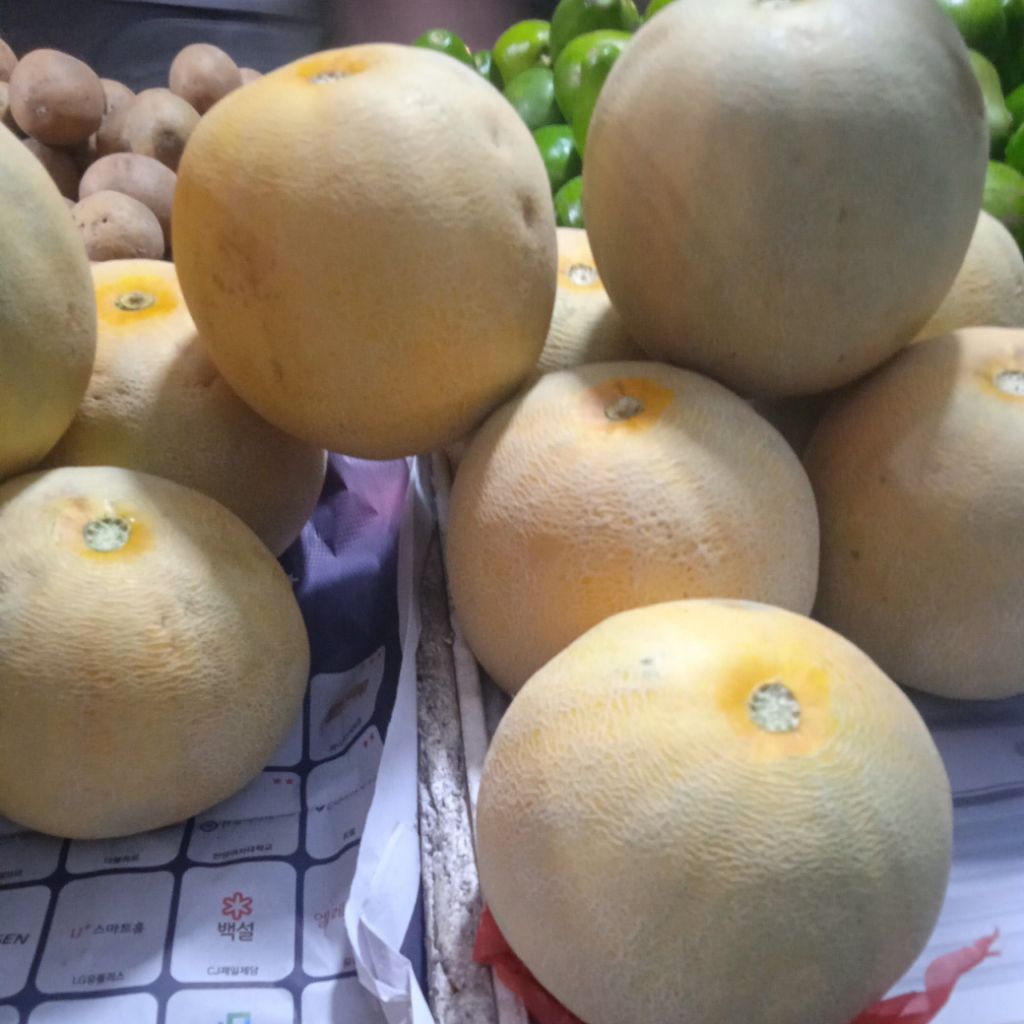 

Melon Madu(Honeydew Melon)DIJamin Maniss dan berair