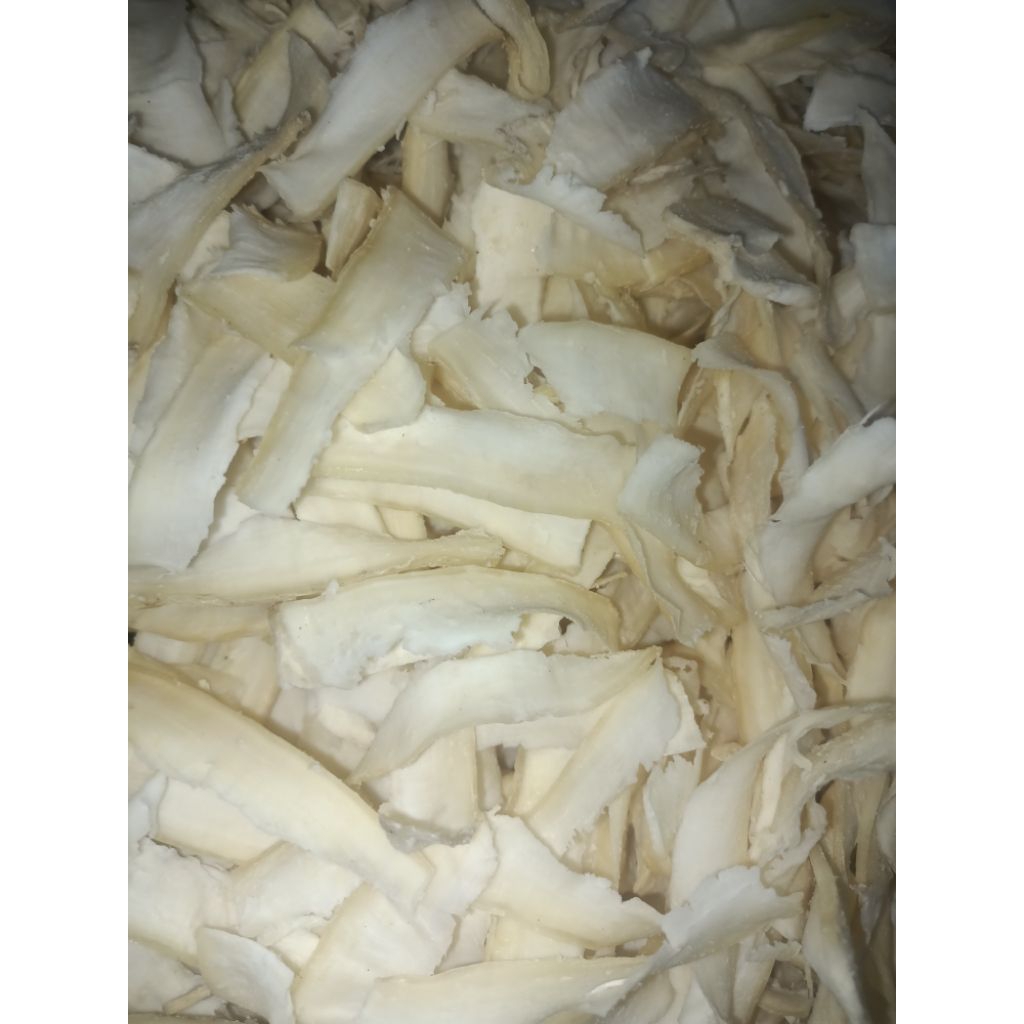 

Balung kethek/Loncis Kering