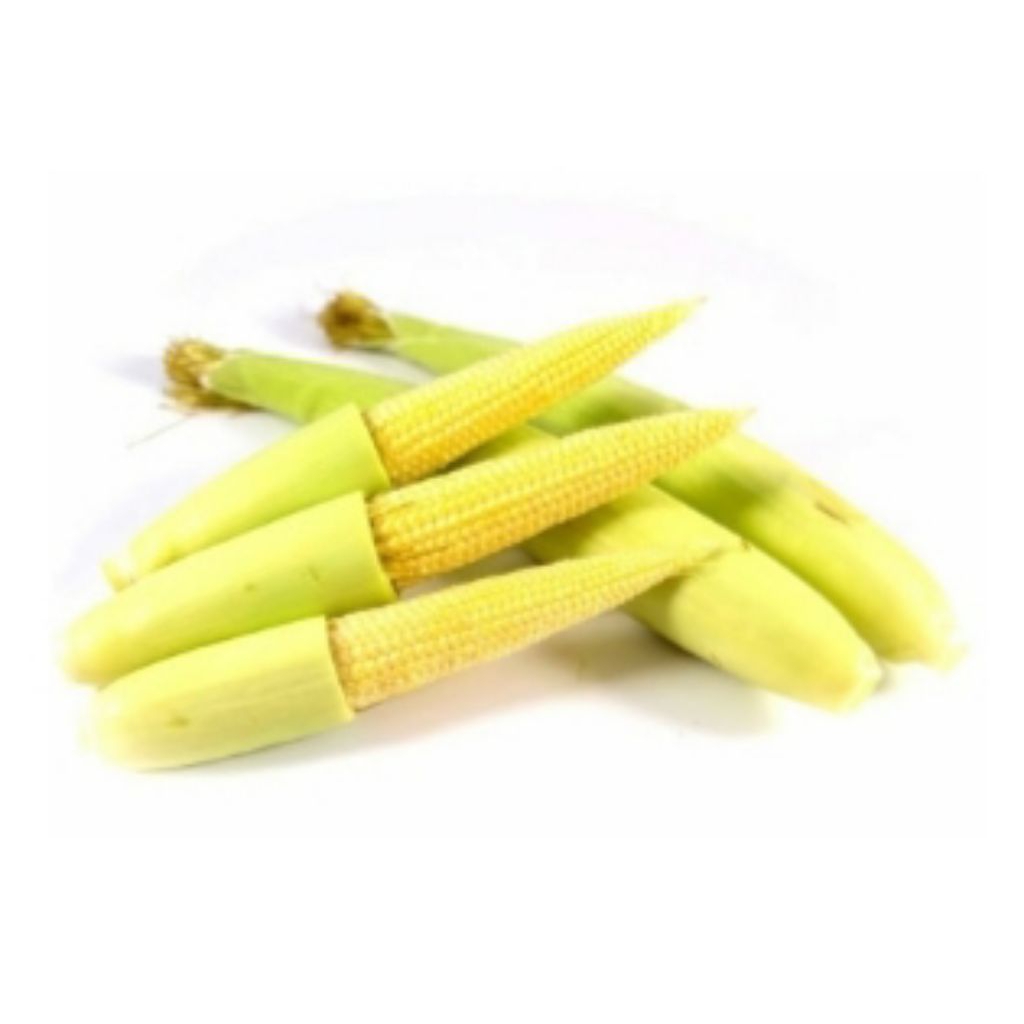 

Jagung Muda 500 gr