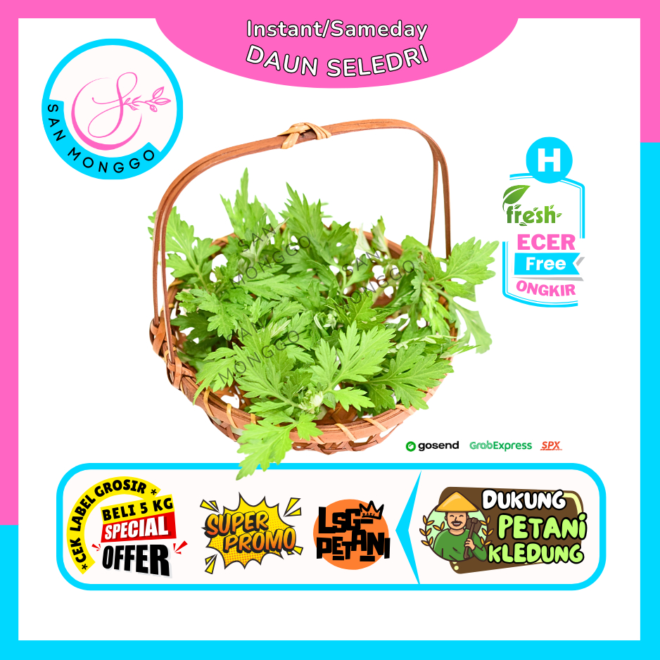 

Sanmonggoo >> Daun Seledri / Sledri -- Hasil Bumi Sindoro Sumbing Ecer (H)