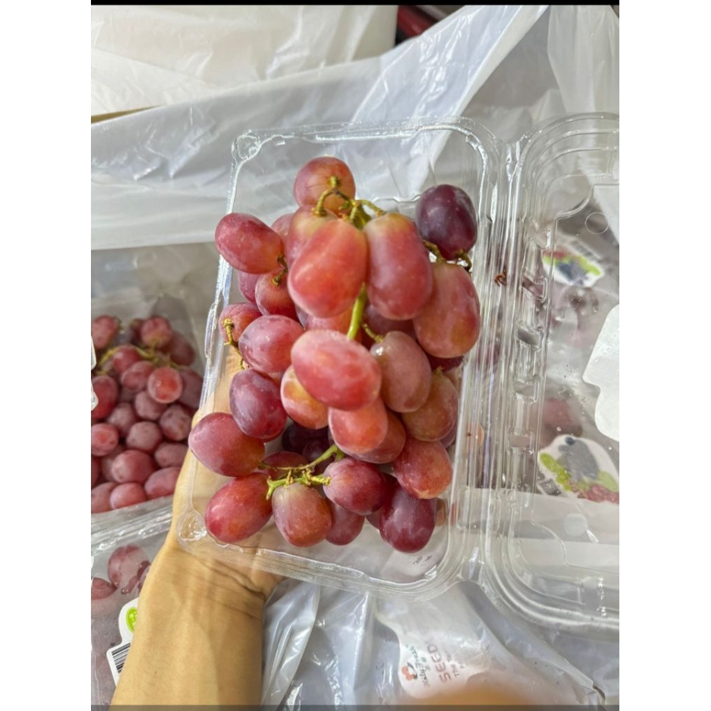 

anggur merah netto 1000gr