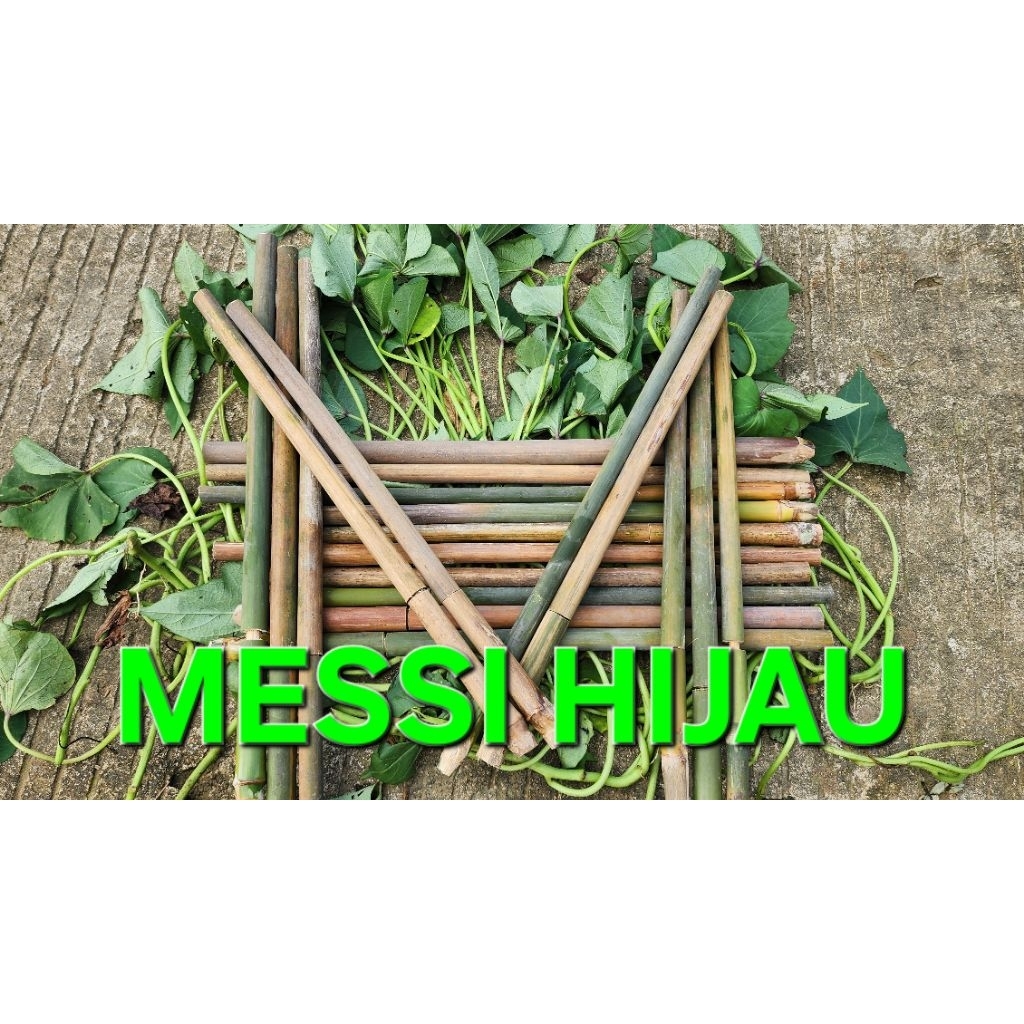 pletokan bambu mainan tradisyonal