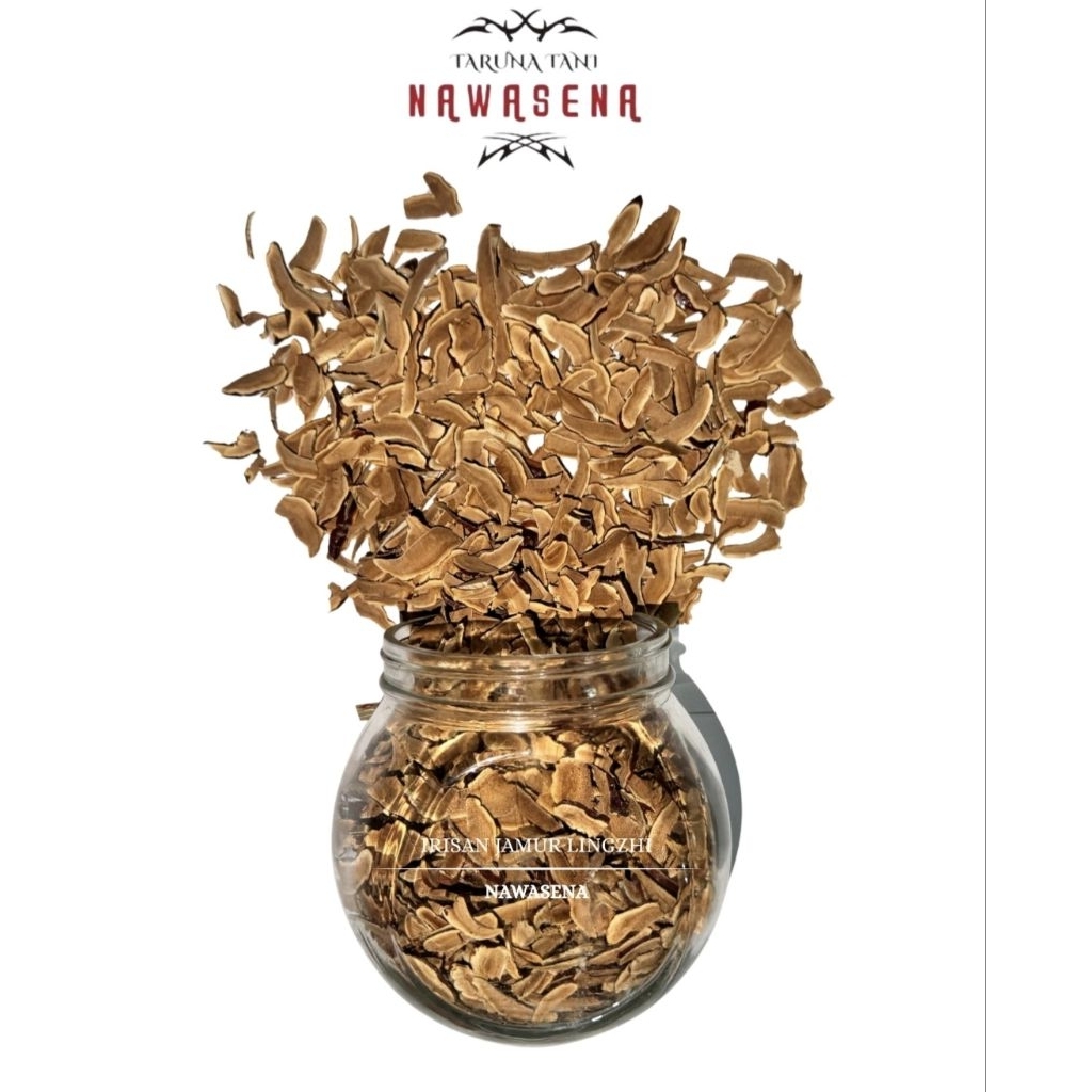 

Irisan jamur lingzhi