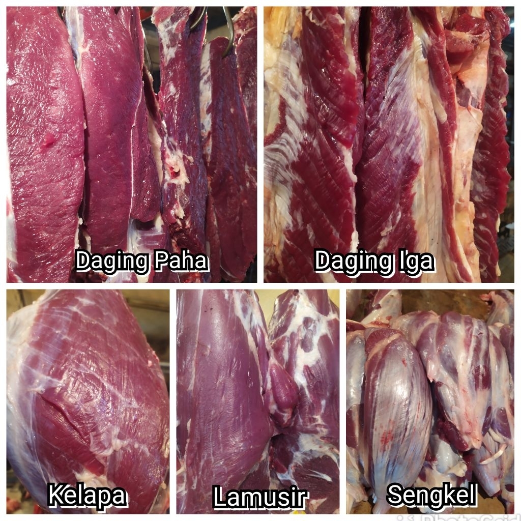 

Daging Sapi Segar 500gr Lokal Paha Lamusir Sengkel Sirloin Iga Ati