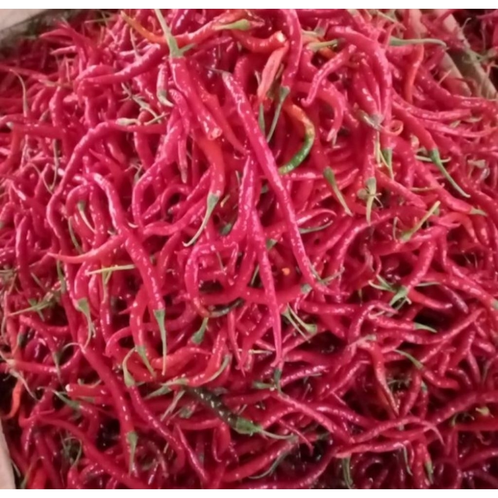 

Cabe Merah Keriting 250 gr