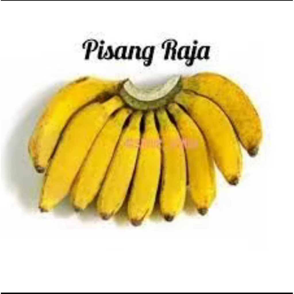 

Pisang Raja Per 1 Kg