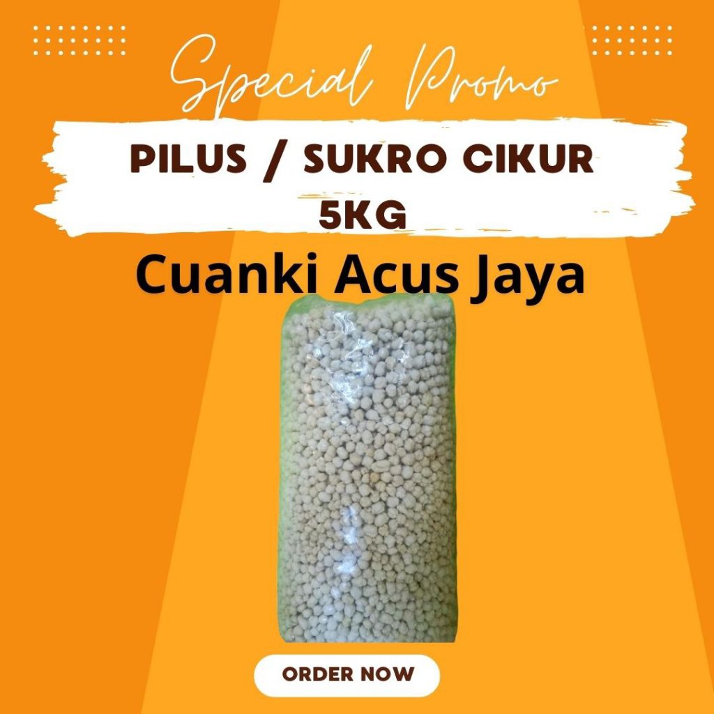 

Pilus kencur 5kg-HEMAT-MURAH