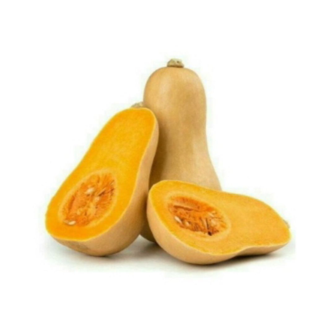 

Labu Madu Australia untuk sayur