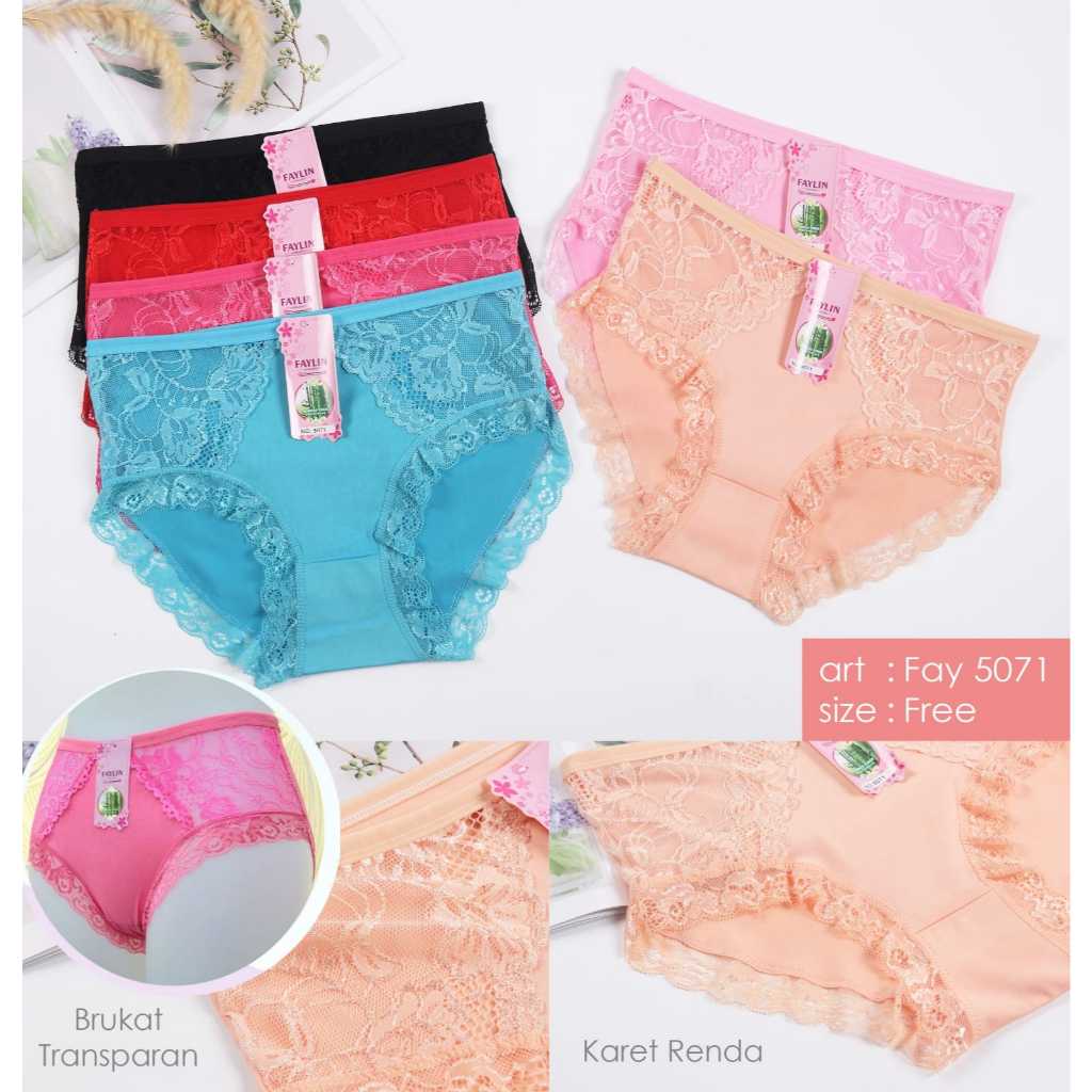CD CELANA DALAM WANITA RENDA TRANSPARAN FULL SEGI 4 6068