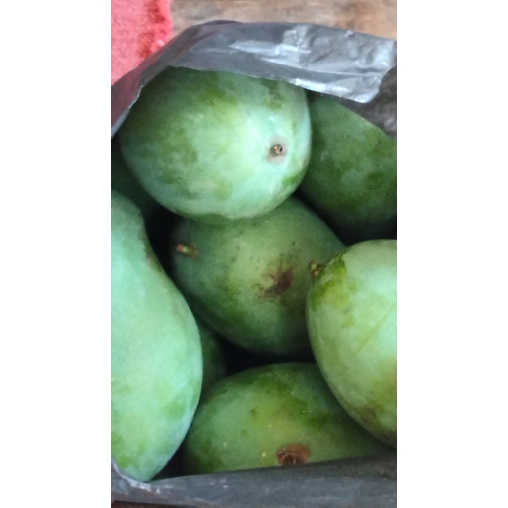 

buah pepaya