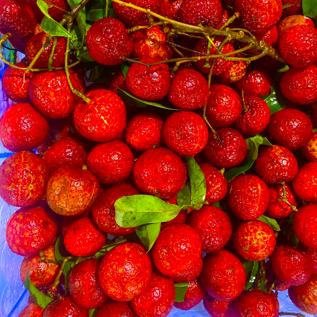 

Promo Leci Madu Merah Manis Fresh