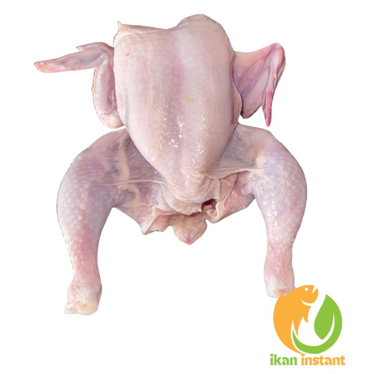 

AYAM KARKAS 700 - 800 GRAM