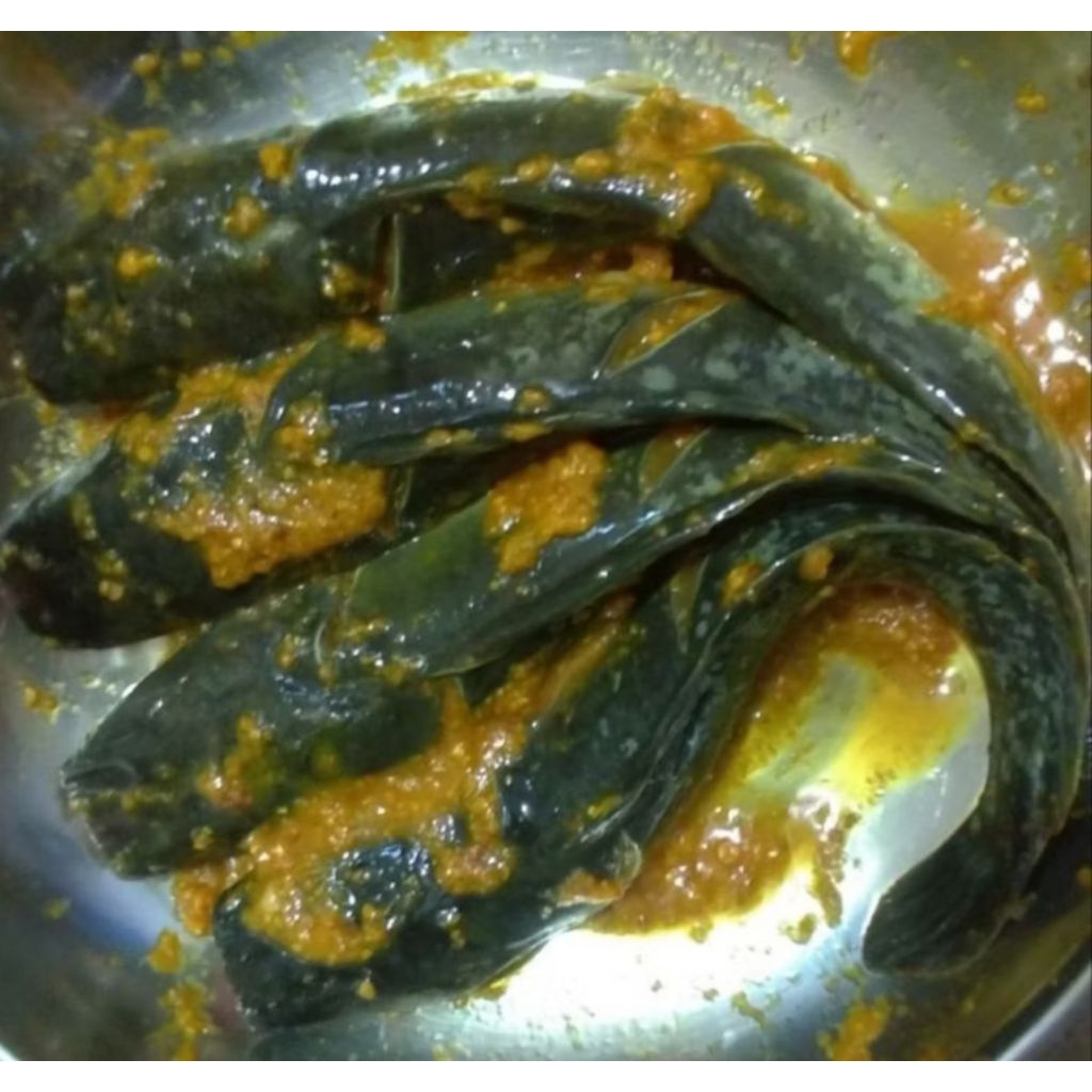 

LELE MARINASI 4 ekor fresh