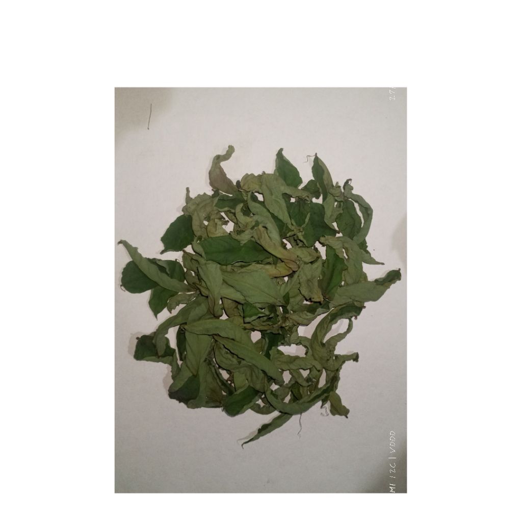 

Daun Belimbing Wuluh Kering