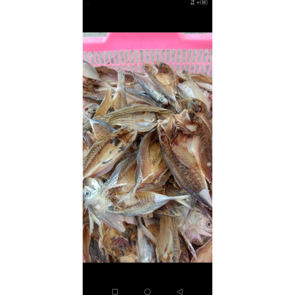 

Belahan Tawar Campur