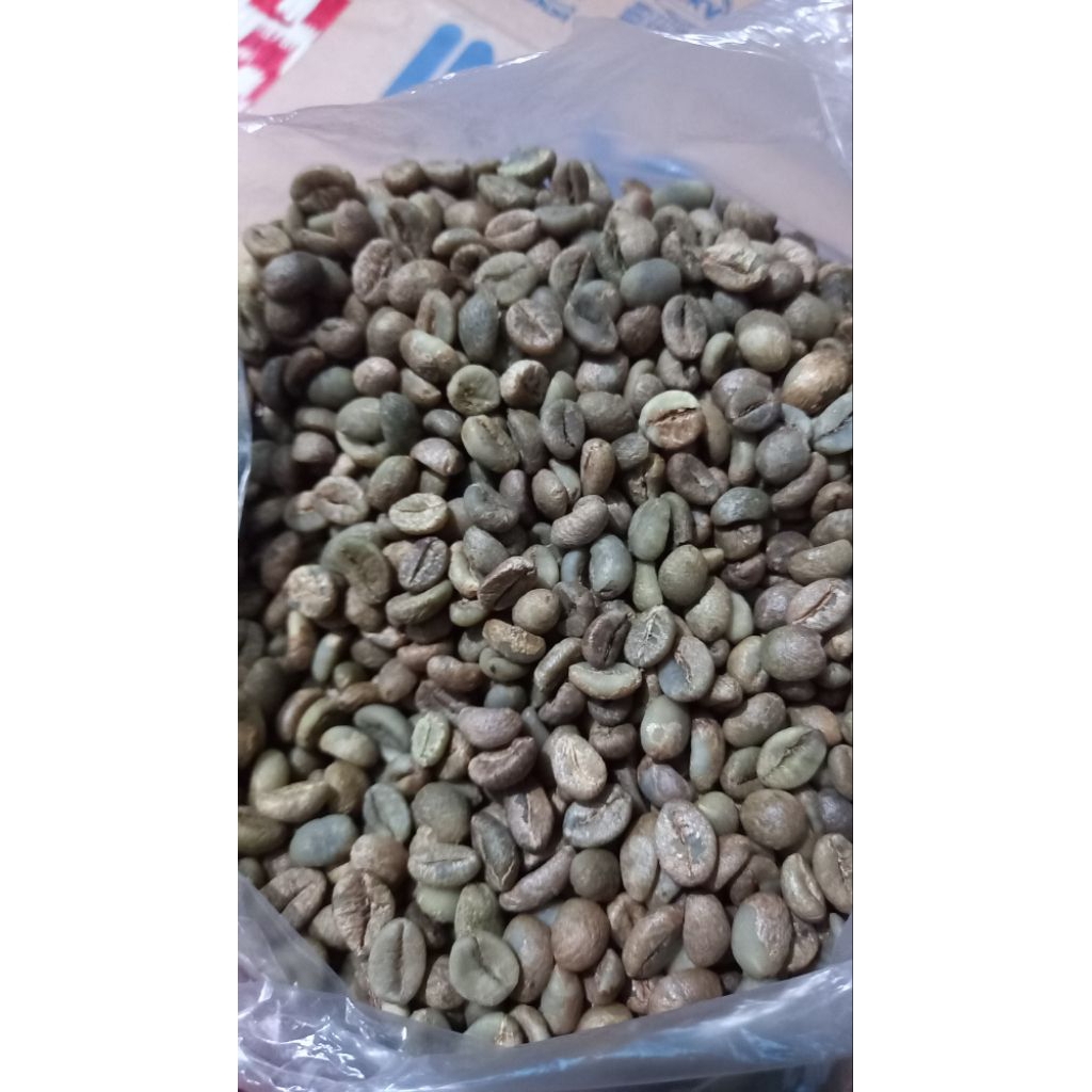 

biji kopi luwak arabika/ biji kopi kerinci
