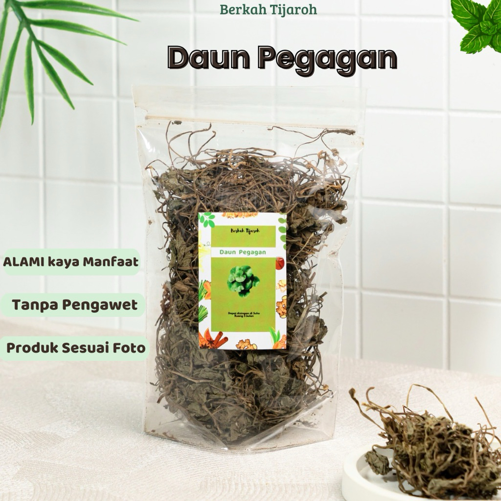 

Daun Pegagan Kering | Daun antanan | Daun kaki Kuda Begagan kering