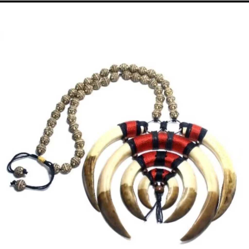 Kalung taring babi renteng kalung etnik taring kalimantan kalung khas dayak