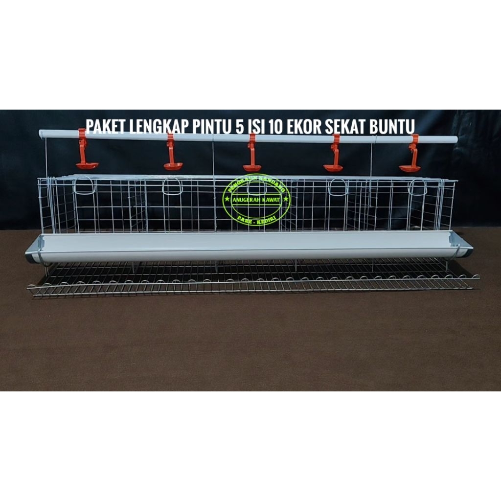 KANDANG GALVANIS PAKET LENGKAP FULL SET 5 PINTU LAYER AYAM PETELUR ISI 10 EKOR TINGGAL ISI AYAM