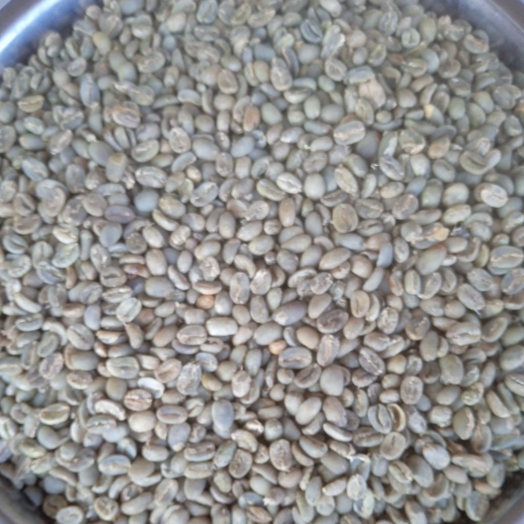 

biji kopi full wash Arabika Temanggung