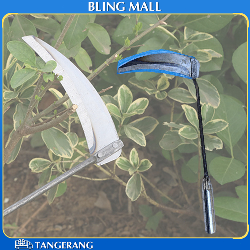 13.7 * 28.3 cm Arit Kecil Rumput Baja Multifungsi Arit Babat Rumput Untuk Memotong Rumput Air