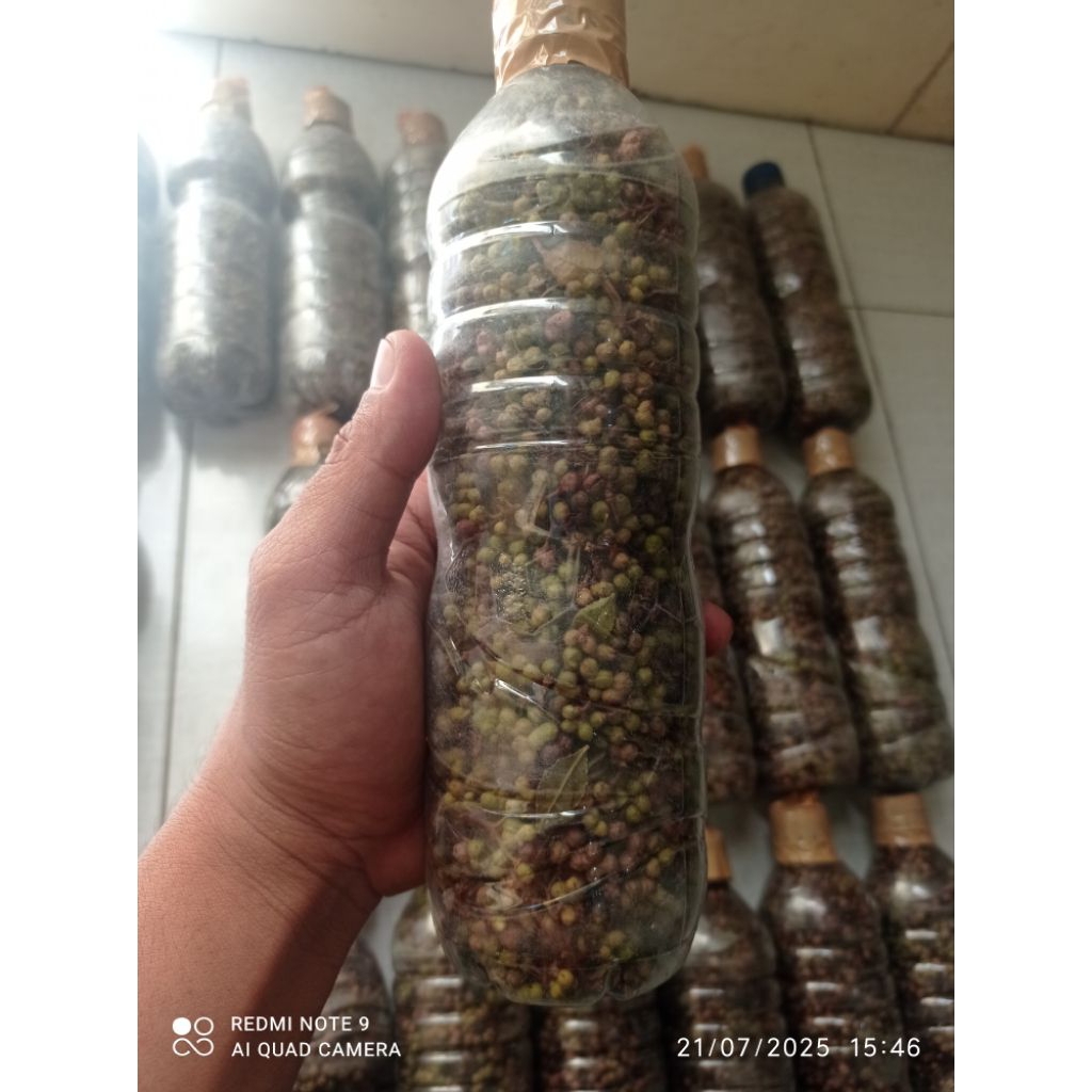 

ANDALIMAN SEGAR KEMASAN 250 GRAM