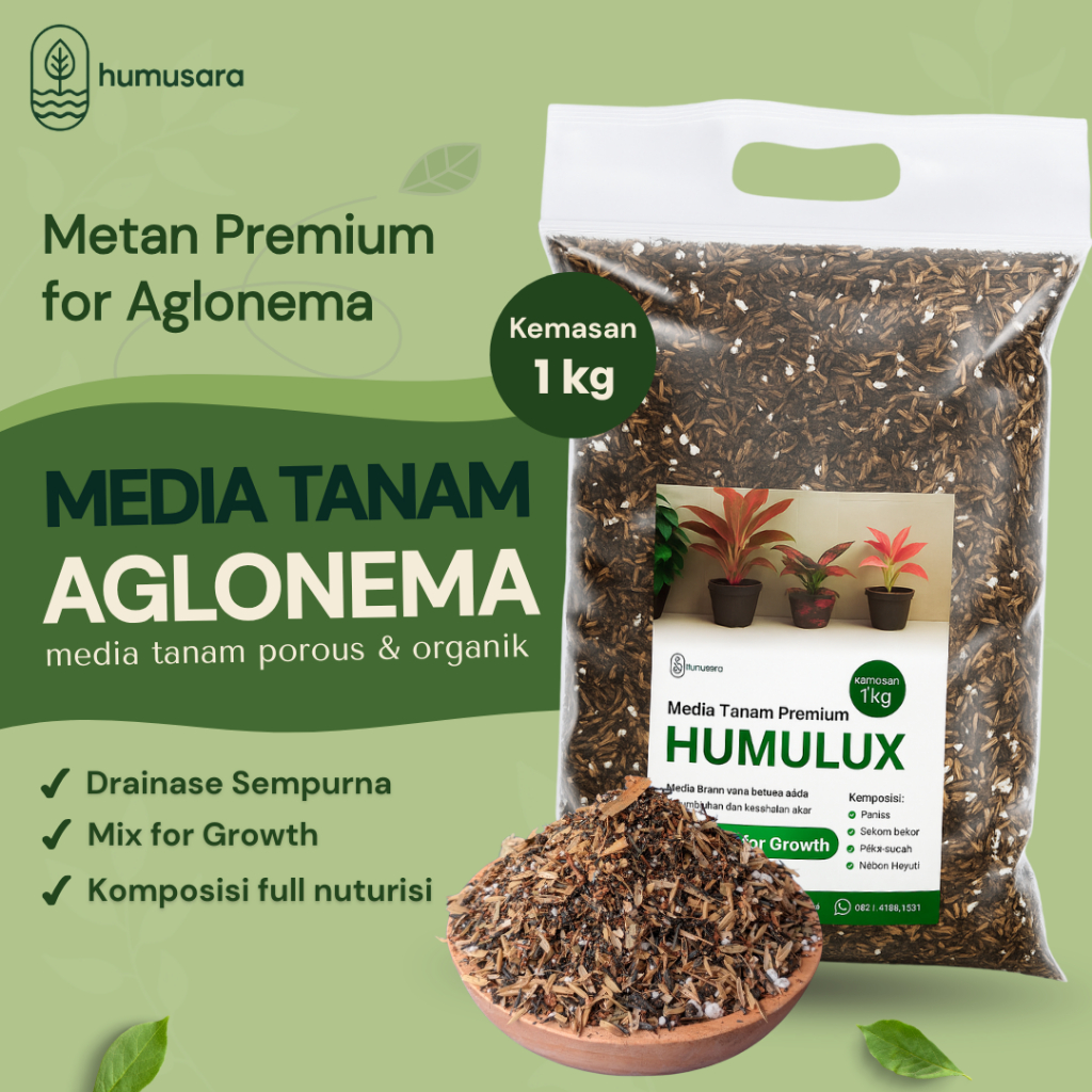 Media Tanam Siap Pakai - HUMULUX Media Tanam Aglonema Siap Pakai Tanpa Campur Media Lain