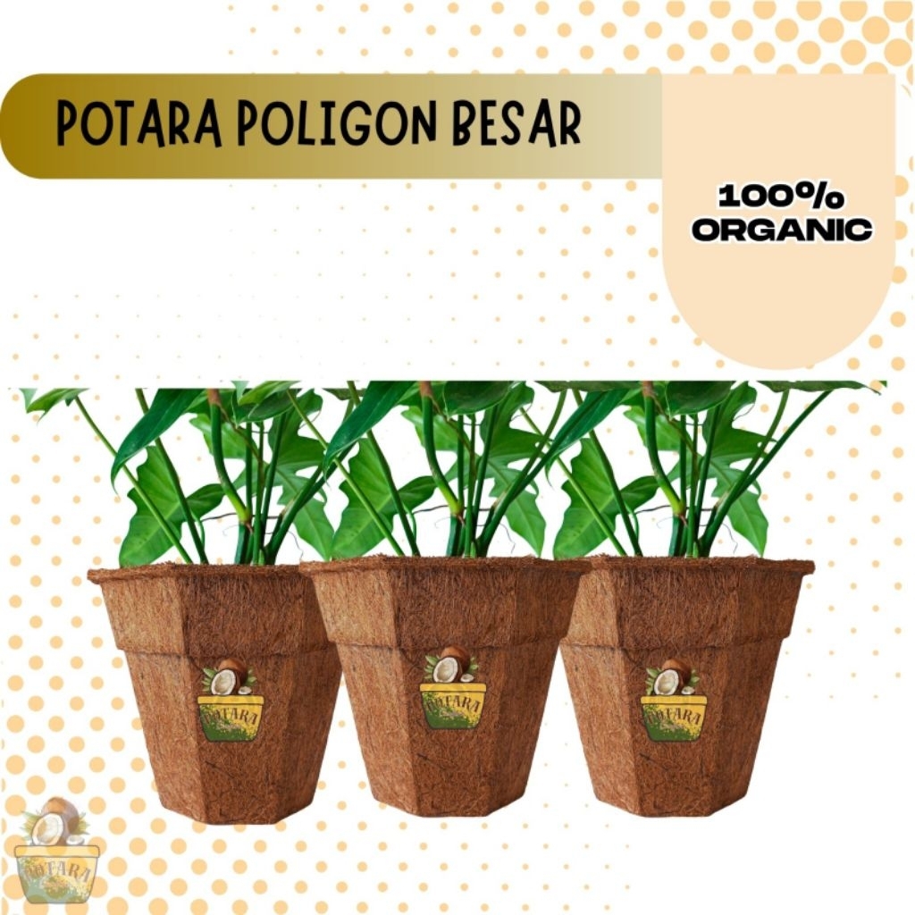 POTARA - Pot Poligon Besar Serabut Kelapa / Cocopot Poligon Besar Diameter 21cm