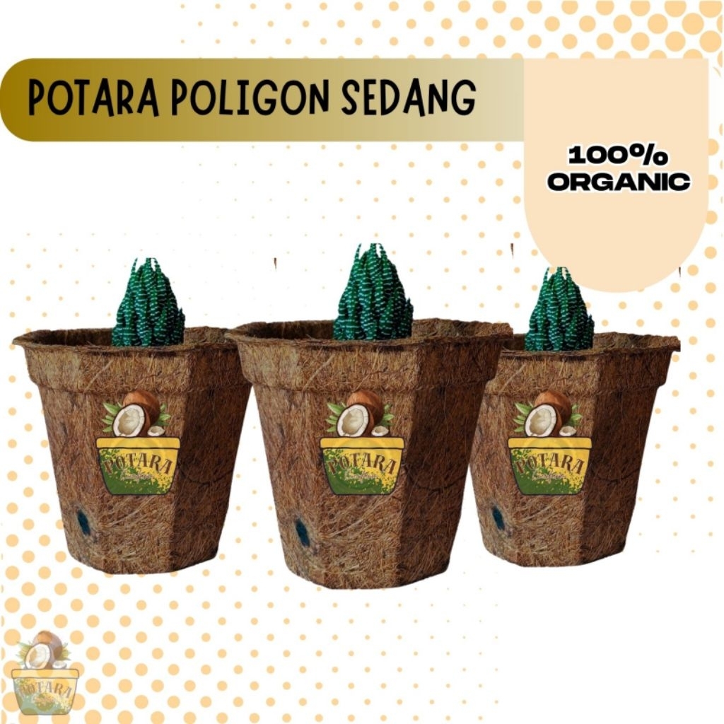 POTARA - Pot Poligon Sedang Serabut Kelapa Cocofiber Murah Media Tanam  DA 11cm