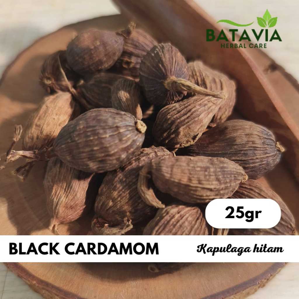 

Black Cardamom Kapulaga Hitam Cao Guo Badi Elaichi Premium Herbs Time