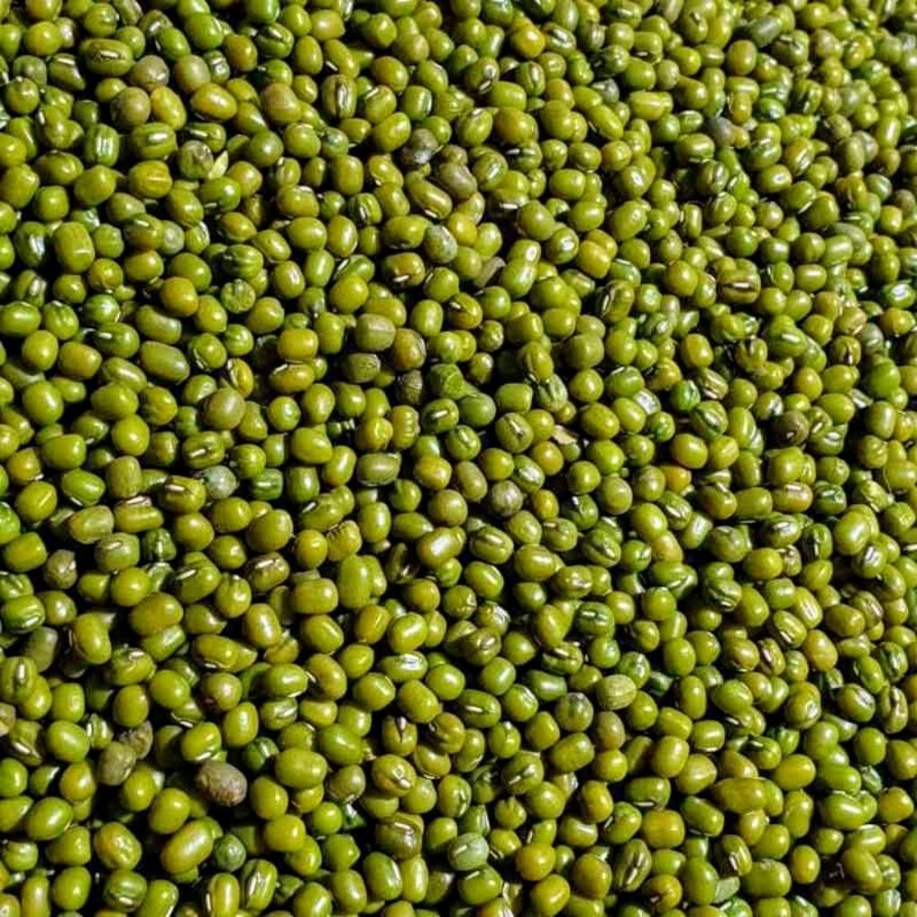 

kacang hijau kualitas terbaik