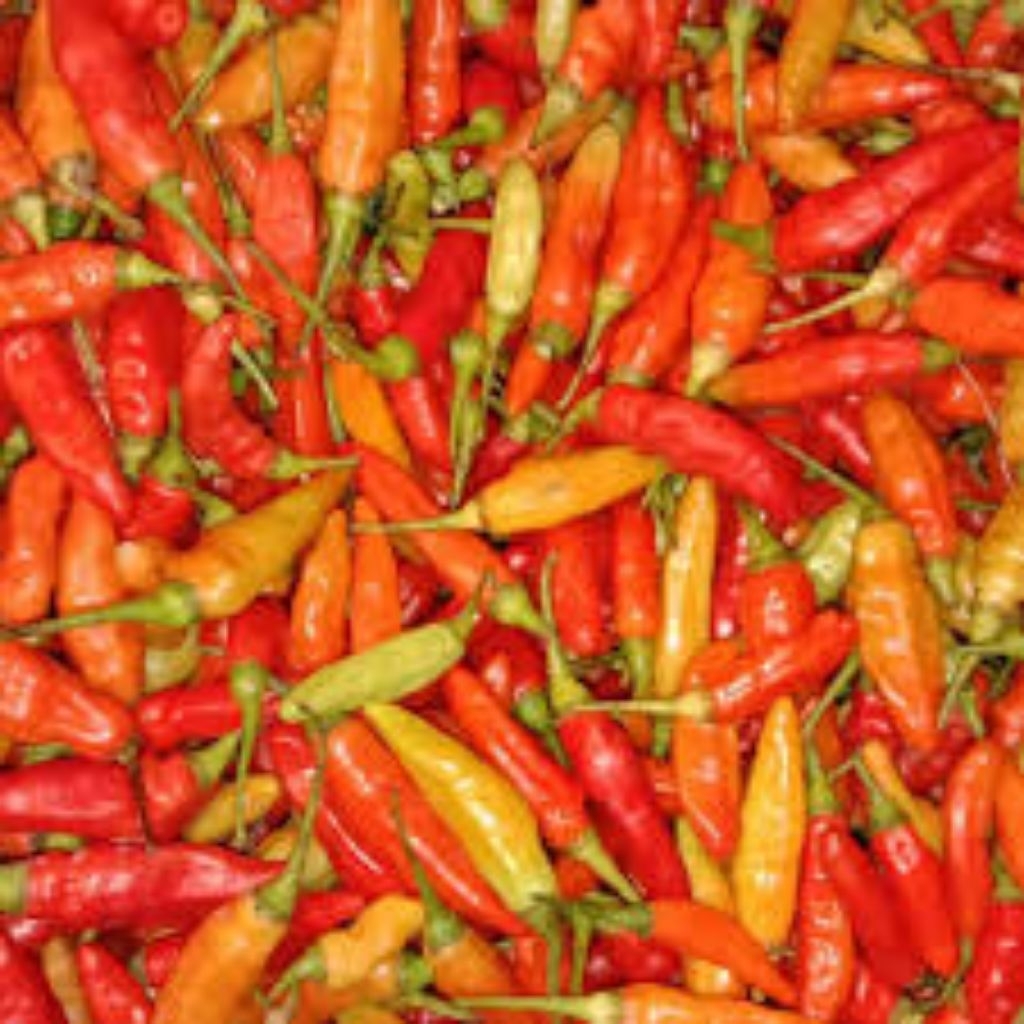 

CABE RAWIT MERAH SEGAR 120 GRAM