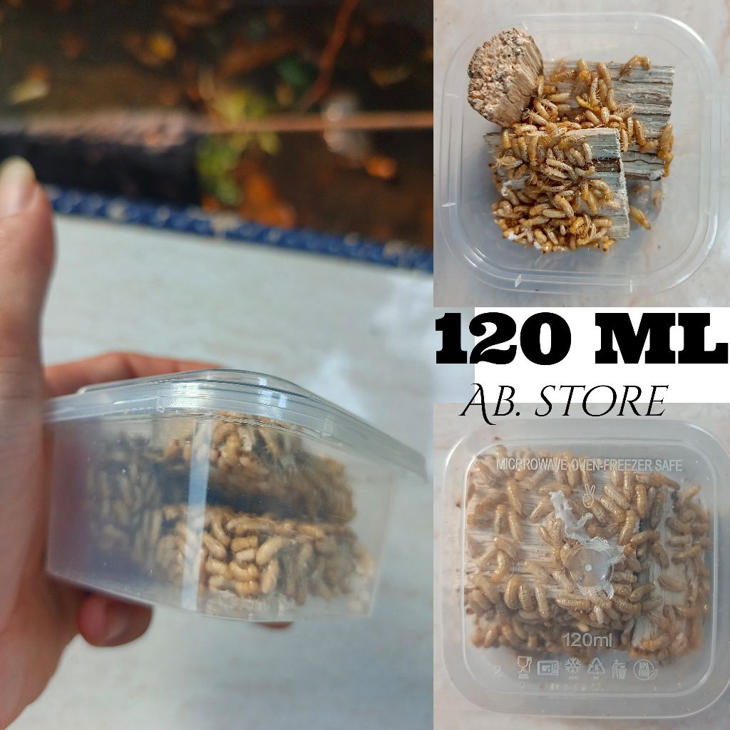 POA/PUA/RENGAS UMPAN MANCING GACOR IKAN BEUNTER DLL UK(120ml)