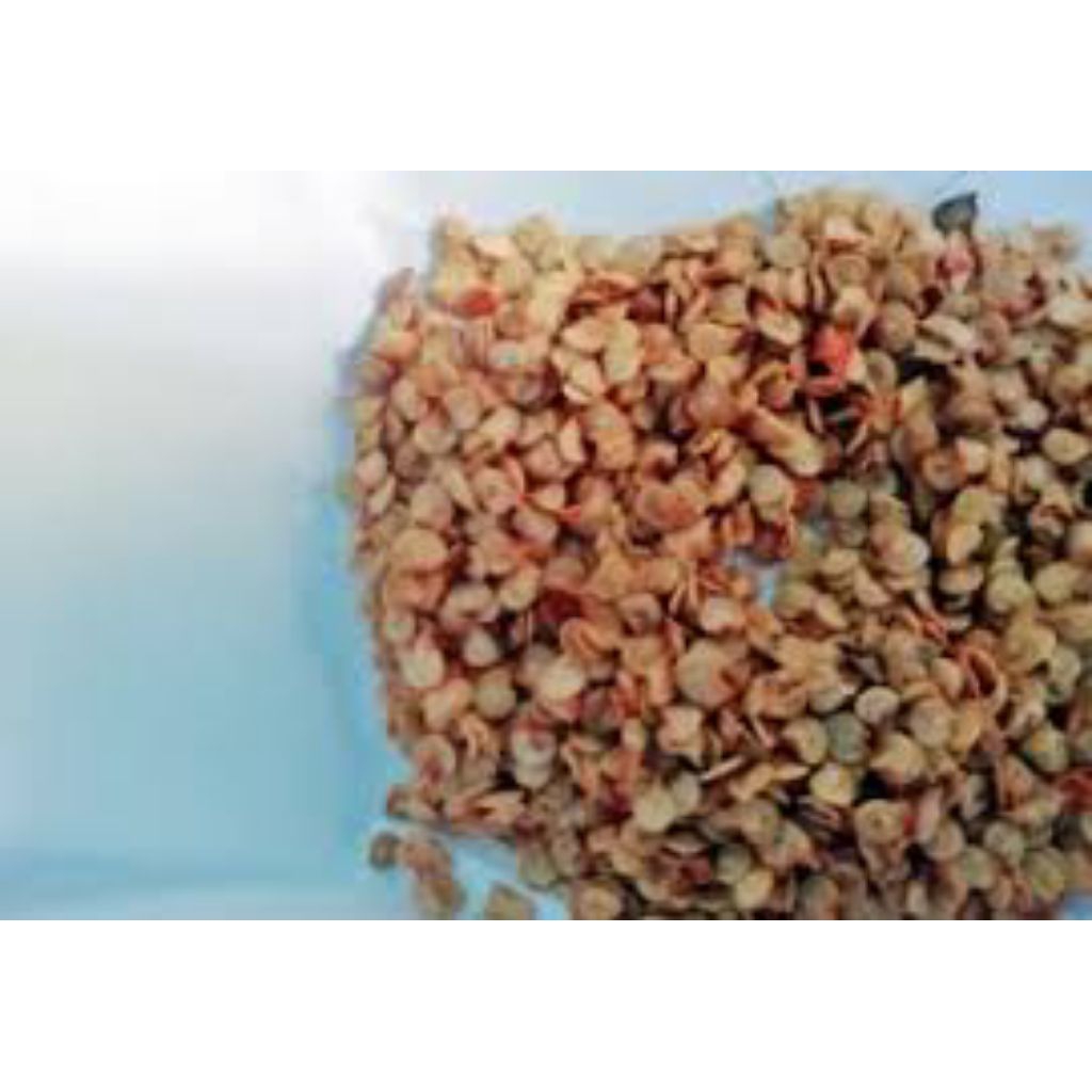 

benih/biji cabe rawit