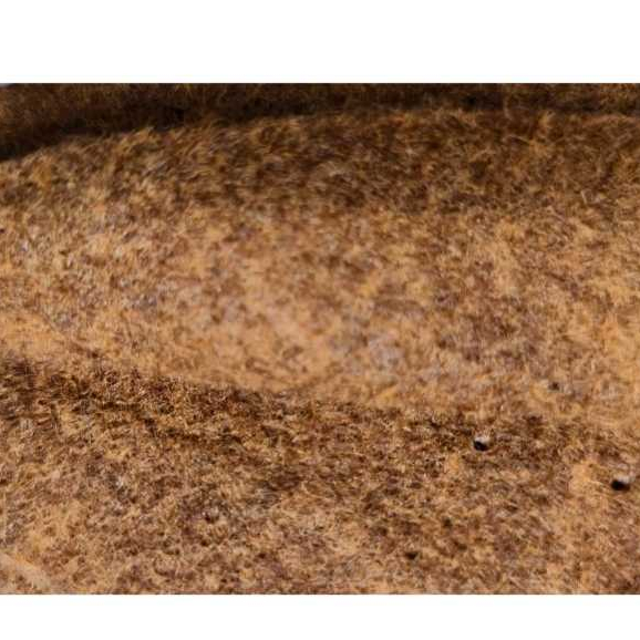 AVANOS Karpet Bludru 1m x 3m Coffee LEBAR KARPET 3 M , Karpet Brudu Murah Pameran