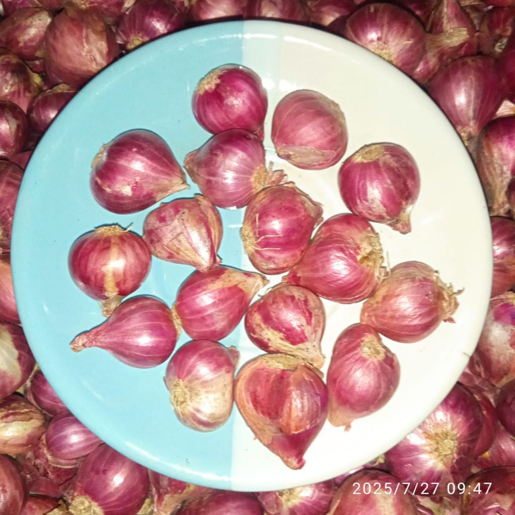 

Bawang merah uk sedang 1kg
