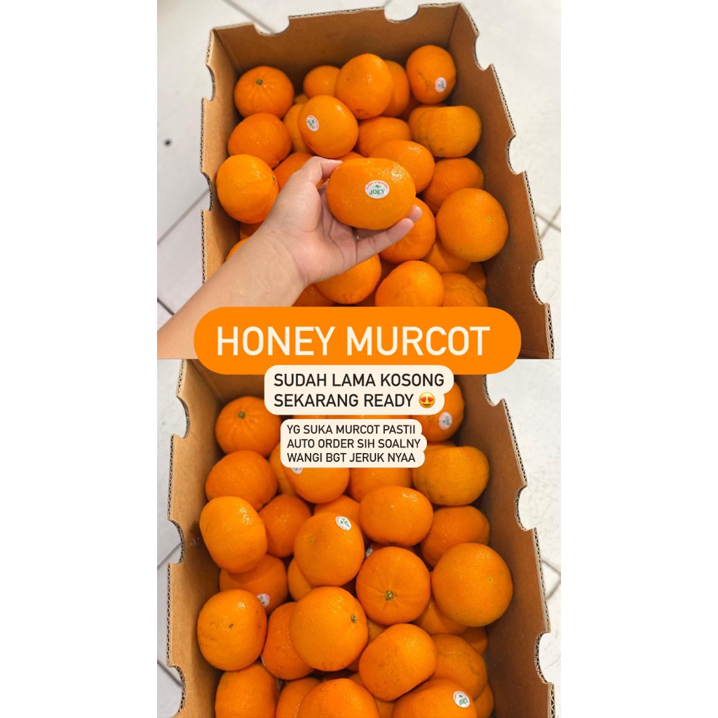 

Jeruk murcot honey