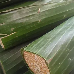 

Tempe Daun