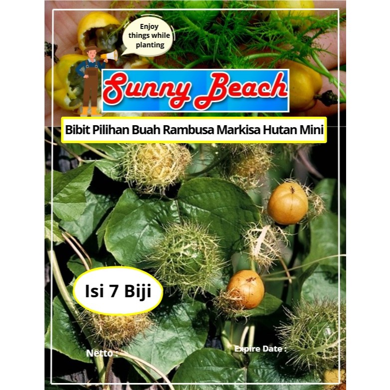 Bibit Pilihan Buah Rambusa Markisa Hutan Mini | Biji Benih Buah Rambusa Markisa Hutan Mini | Buah Ra