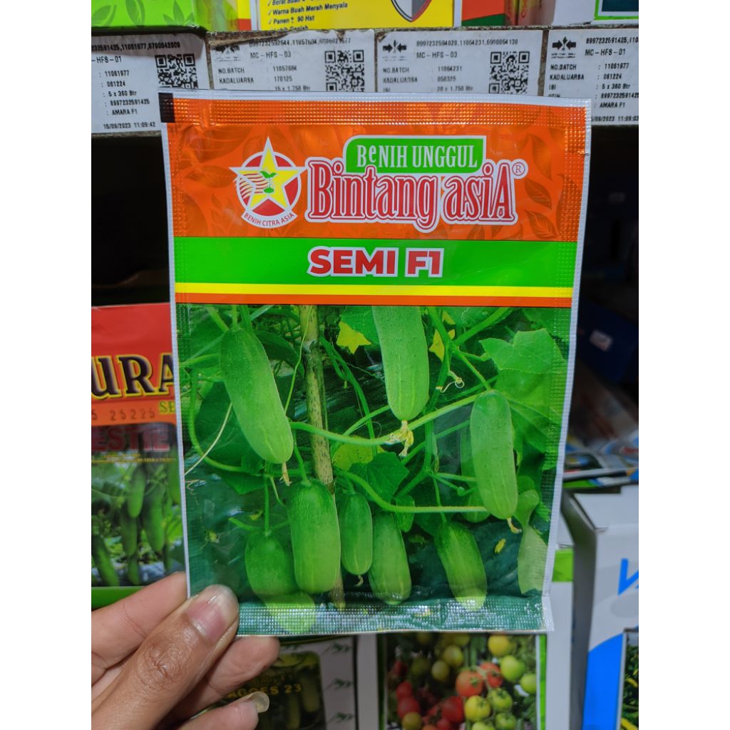 SEMI F1 TIMUN BABY BEBY 20GR