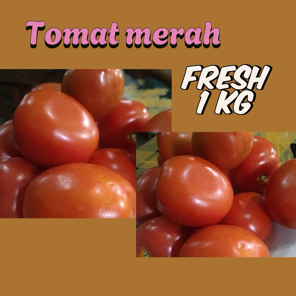 

Tomat merah fresh pilihan 1 kg