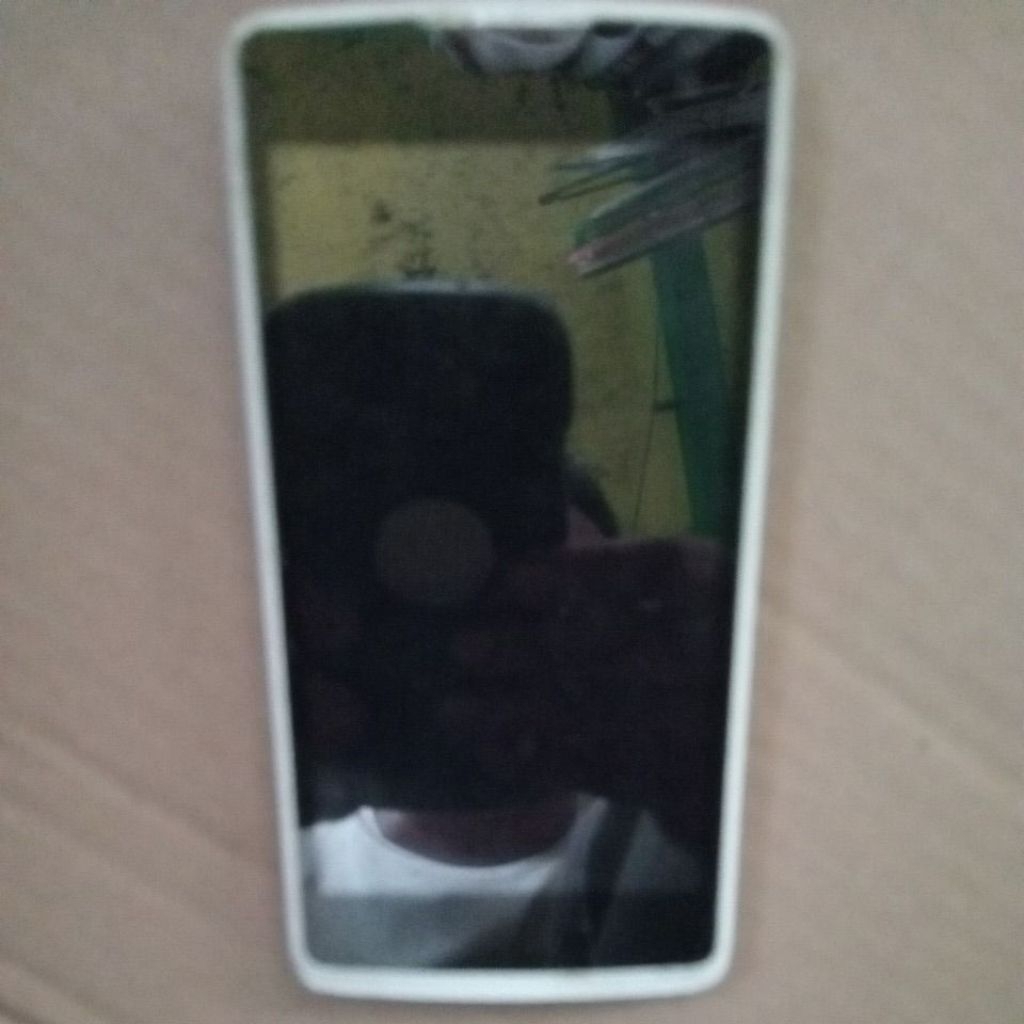 oppo r2001 lcd normal.mesin bootlop/error